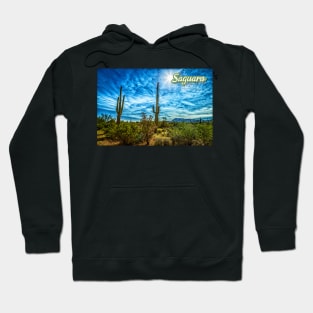 Saguaro National Park Hoodie